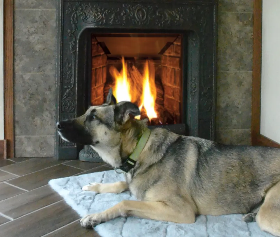 We’re the One To Call for High-Quality Hearth Service in Madison & Beyond.