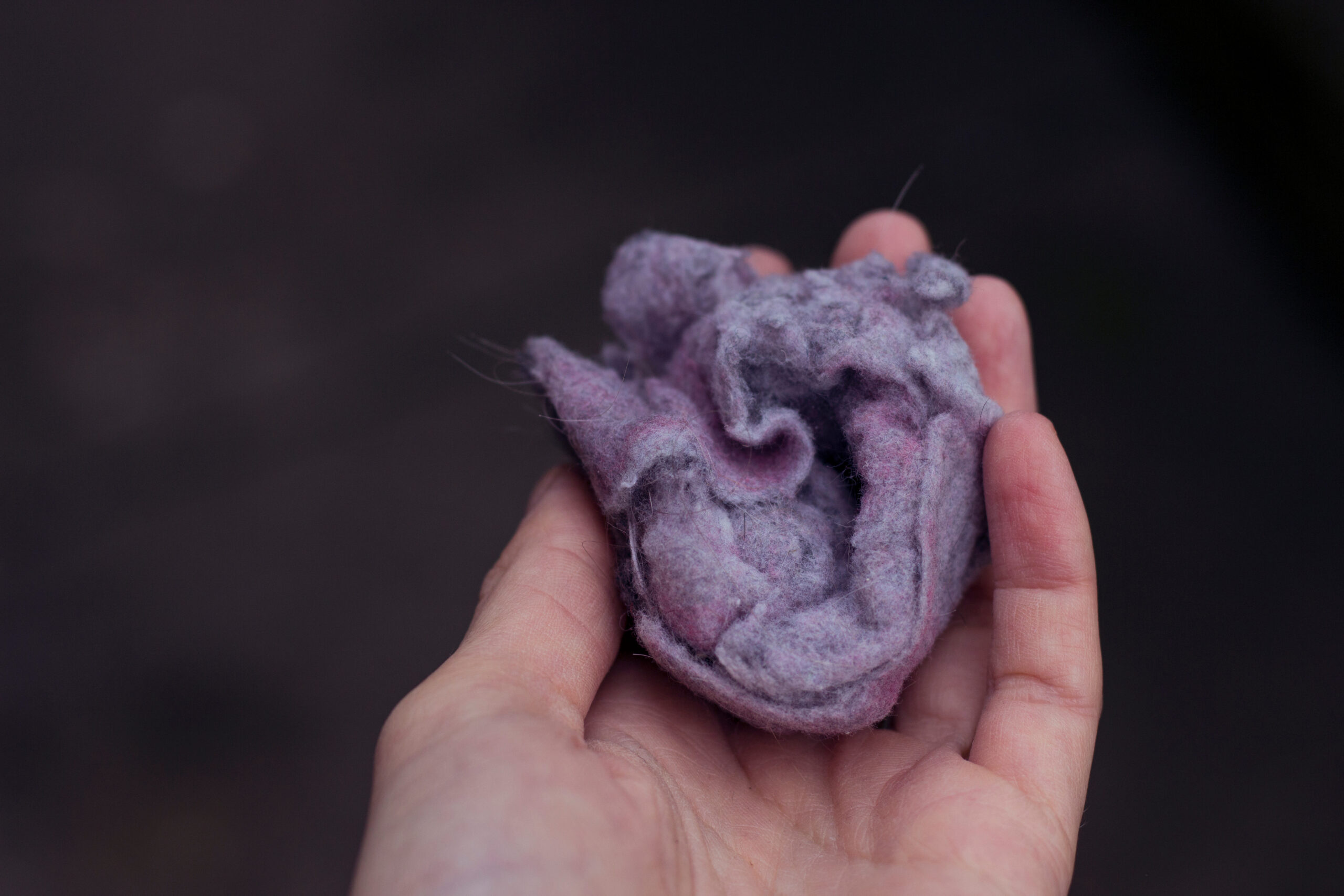 Adobe Stock image of someone holding a pile of dryer lint.