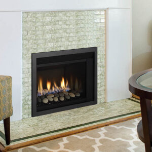 Regency Horizon HRI3E Gas Insert