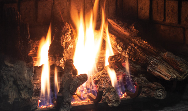 Enviro E30 Gas Fireplace Insert - Image 4