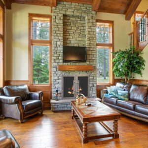 Stoll Vintage Fireplace Doors