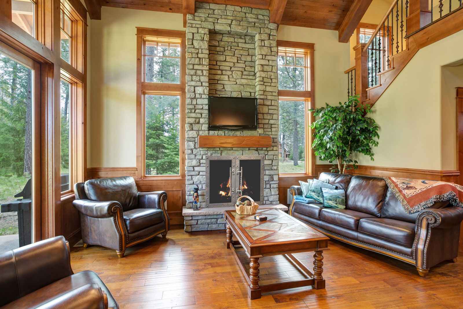Stoll Vintage Fireplace Doors