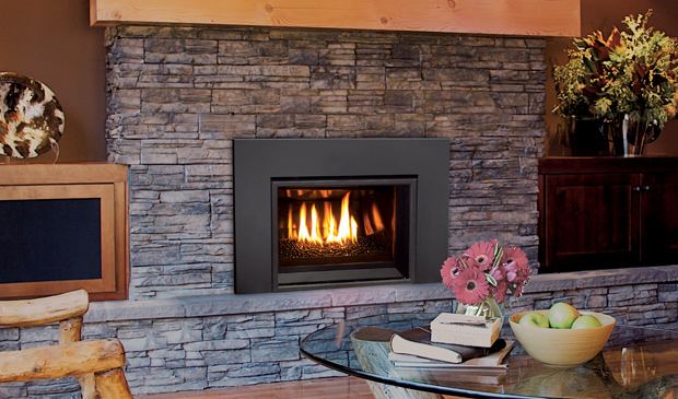 Enviro E20 Gas Fireplace Insert - Image 2