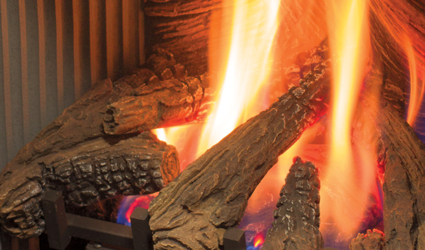 Enviro S20 Gas Freestanding Stove - Image 2