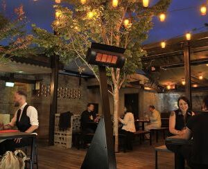 Dimplex Outdoor Wall-mounted Natural Gas Infrared Heater, 31,500 BTU