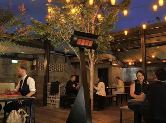 Dimplex Outdoor Wall-mounted Natural Gas Infrared Heater, 31,500 BTU