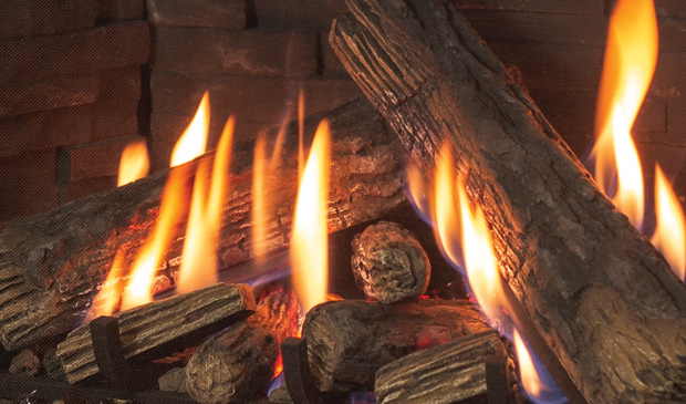 Enviro Ri30 Fire-Under-Log Gas Insert - Image 3