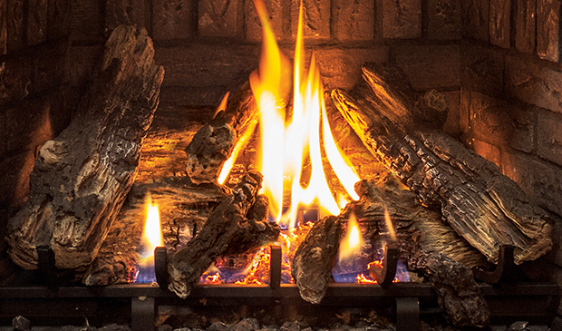 Enviro Q2 Gas Fireplace - Image 2