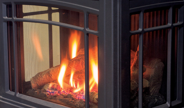 Enviro Berkeley Cast Iron Gas Freestanding Stove - Image 2