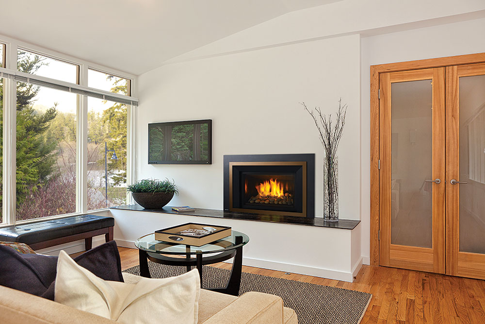 Regency Horizon HRI6E Gas Insert - Image 4