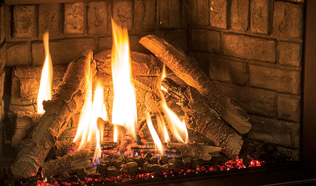 Enviro EX35 Gas Fireplace Insert - Image 4