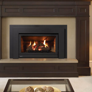 Regency Energy U31 Gas Insert