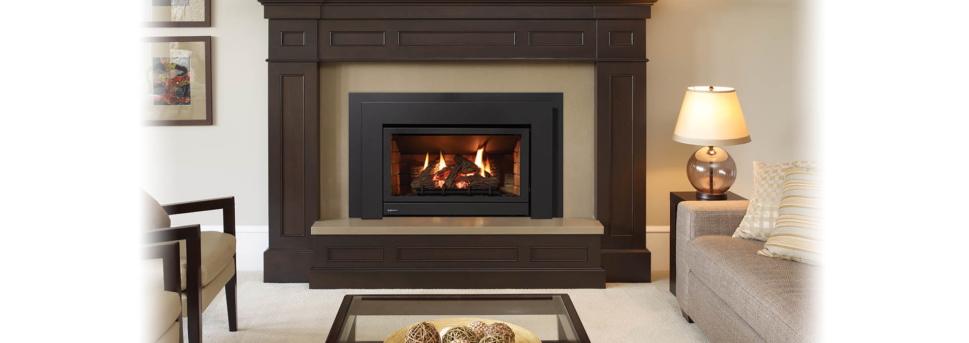 Regency Energy U31 Gas Insert