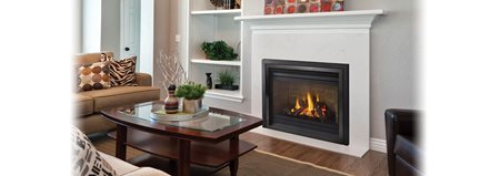 Regency Panorama P36 Gas Fireplace