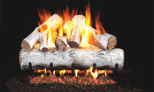 Real Fyre White Birch