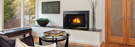 Regency Horizon HRI6E Gas Insert