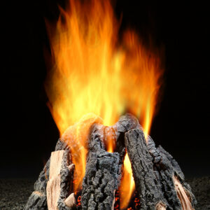 Hargrove Kiva Set 10" Vented Gas Log Set