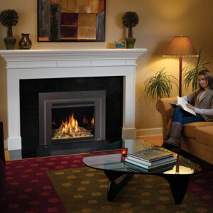 Fireplace Xtrordinair 430 Mod-Fyre™
