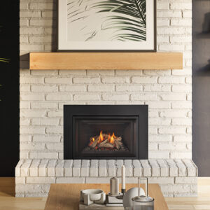 Regency Gi27LE Gas Insert
