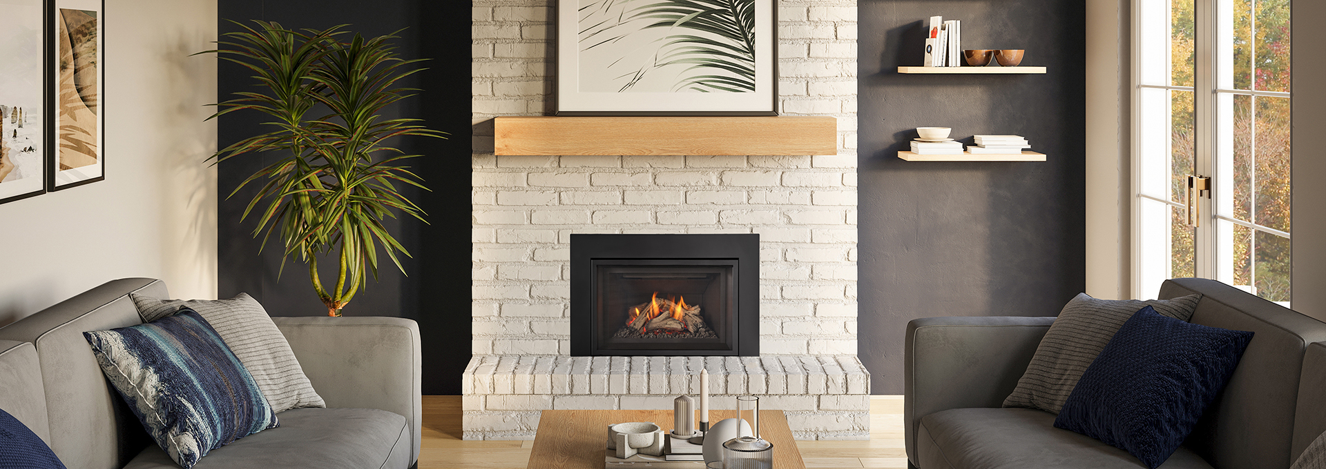 Regency Gi27LE Gas Insert