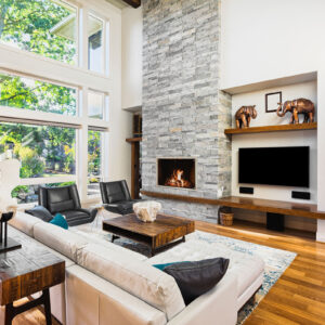 Stoll TotalView Frameless Fireplace Doors