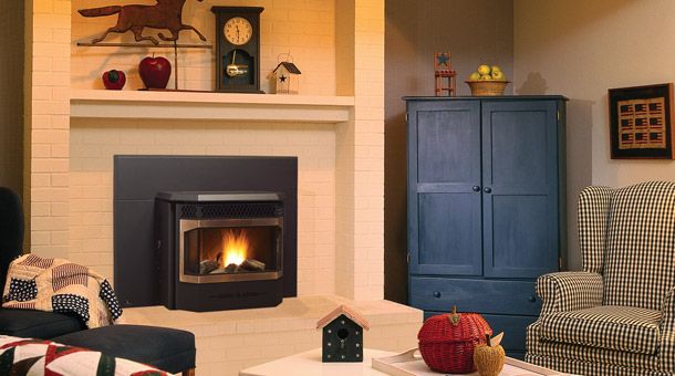 Regency Greenfire GFi55 Pellet Insert - Image 4