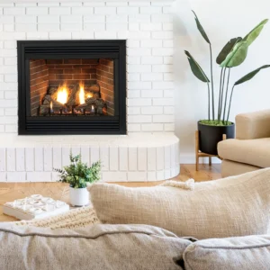 Empire Hearth Tahoe Premium 48" Direct-Vent Fireplace