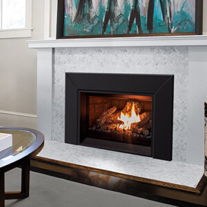 Enviro E25 Gas Fireplace Insert