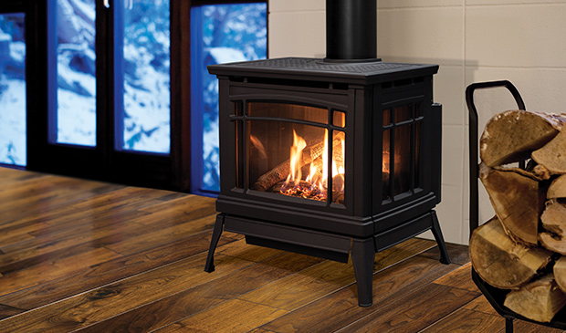 Enviro Westley Cast Iron Gas Stove - Image 4
