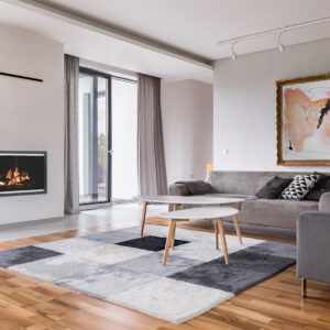 Stoll Inline Recessed Fireplace Doors