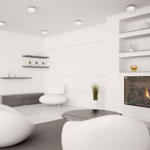 Stoll Elite Thinline Fireplace Door