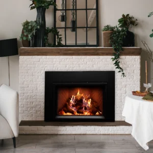Empire Hearth Rainier Premium