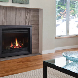 Regency Panorama P36D Traditional Gas Fireplace